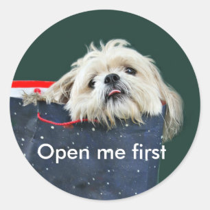 Sticker Rond Shih Tzu cadeau de Noël