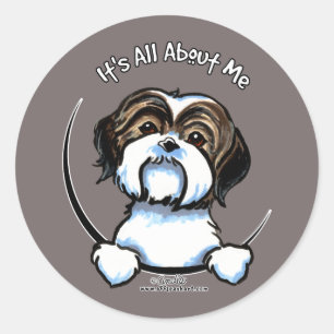 Sticker Rond Shih Tzu C'Est Tout Pour Moi