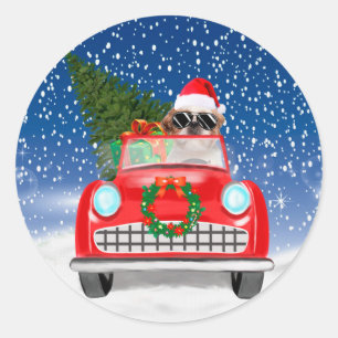 Sticker Rond Shih Tzu Chien Voiture De Conduite En Neige Noël