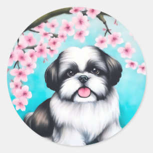 Sticker Rond Shih Tzu en fleurs de cerisiers orientaux