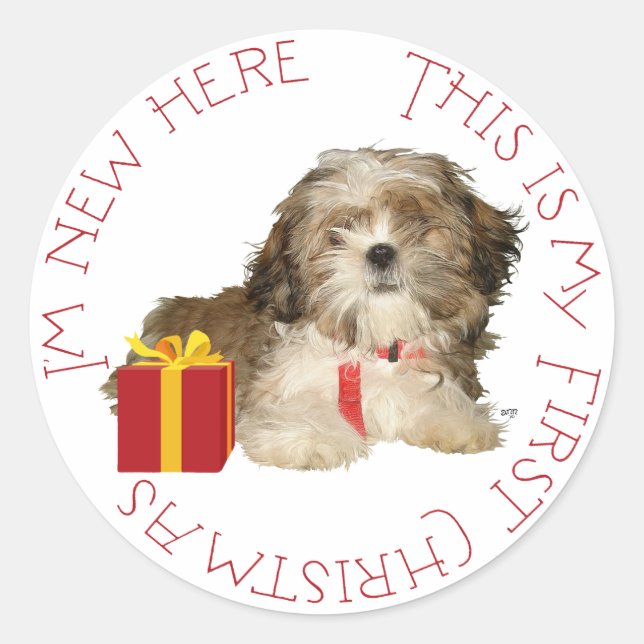 Sticker Rond Shih Tzu Puppy Premier Noël (Devant)