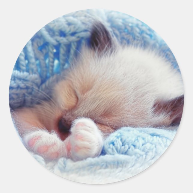 Sticker Rond Siamese Kitten Paws dormant (Devant)