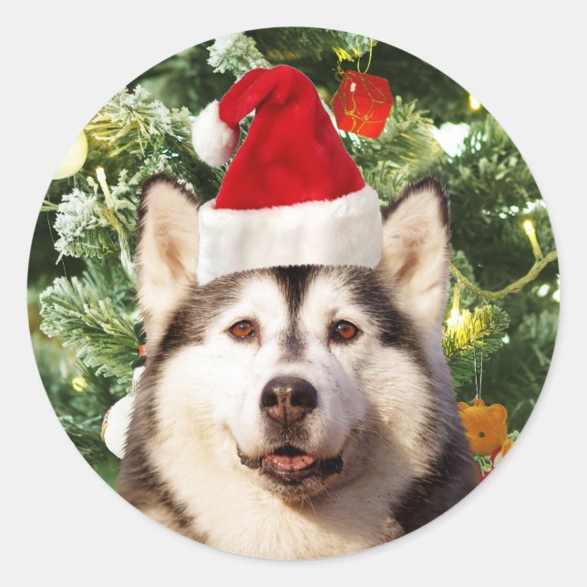 Sticker Rond Sibérie Husky Arbre de Noël Ornements Snowman (Devant)