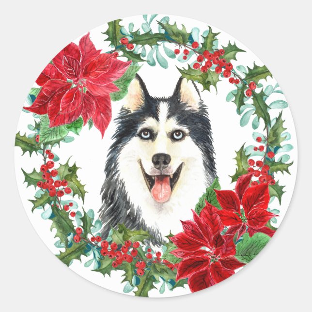 Sticker Rond Sibérie Husky Poinsettia Holly Christmas Wreath (Devant)