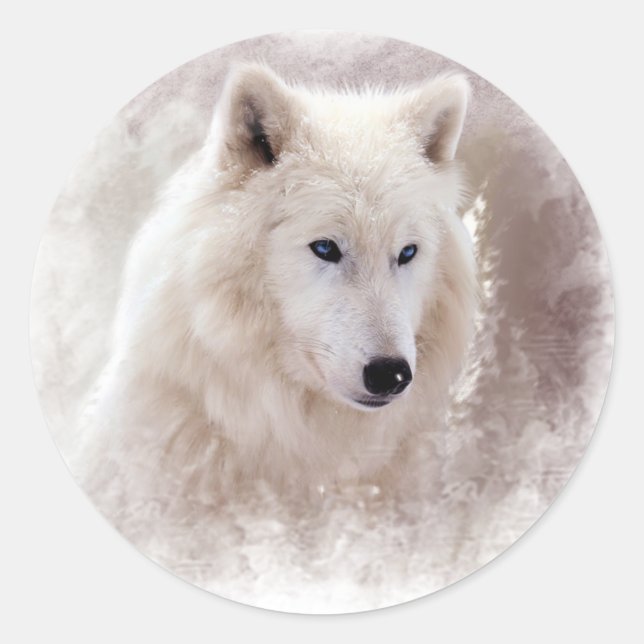 STICKER ROND SIBÉRIEN BLANC HUSKY. (Devant)
