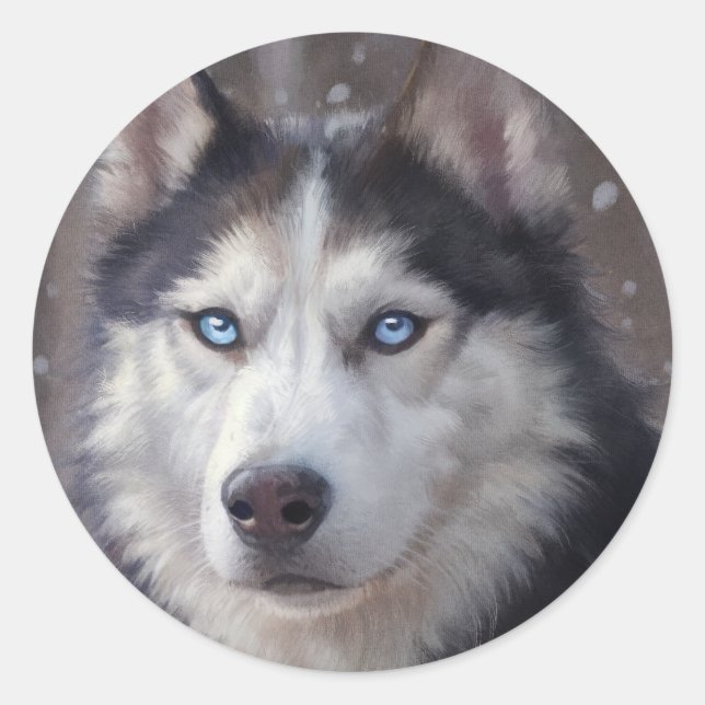 Sticker Rond Sibérien Husky (Devant)