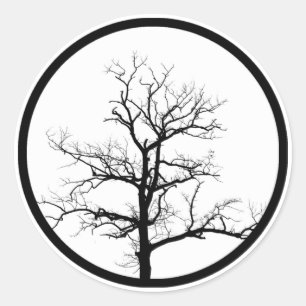 Sticker Rond Silhouette de l'arbre