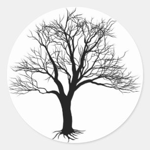 Sticker Rond Silhouette de l'arbre nu