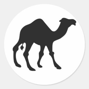 Sticker Rond Silhouette du chameau