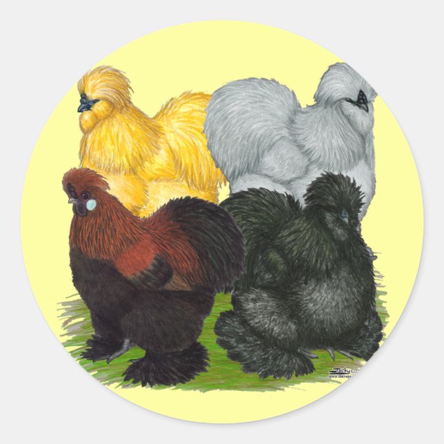Sticker Rond Silkies : Coq Assortis (Devant)