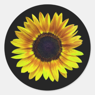 Sticker Rond Single Bright Yellow