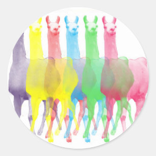 Sticker Rond six lamas dans six couleurs de lama