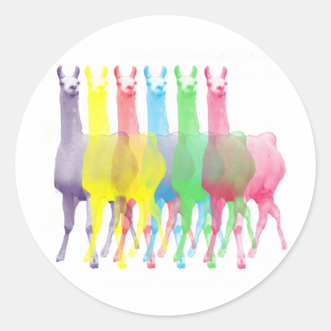 Sticker Rond six lamas dans six couleurs lamas (Devant)