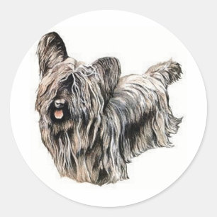 Sticker Rond Skye Terrier