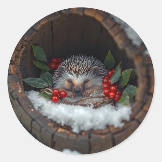 Sticker Rond Sleeping hedgehog Christmas fun (Devant)