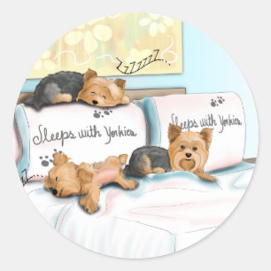 Sticker Rond Sleeps with Yorkies