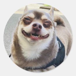 Sticker Rond Smile Big Huey