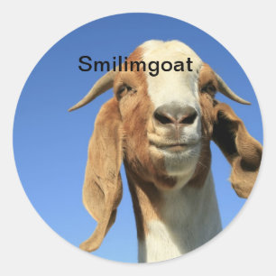 Sticker Rond Smilingoat