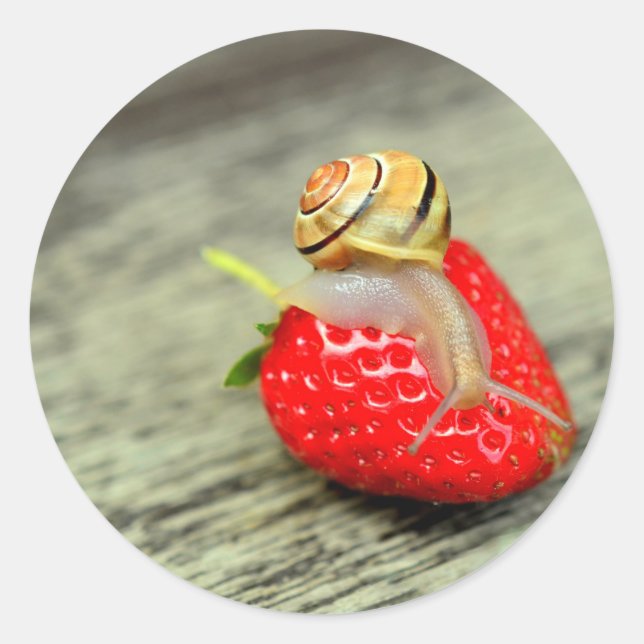 Sticker Rond Snack sur fraise (Devant)