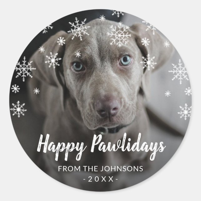 Sticker Rond Snowflakes Chien Photo Jolie Noël (Devant)