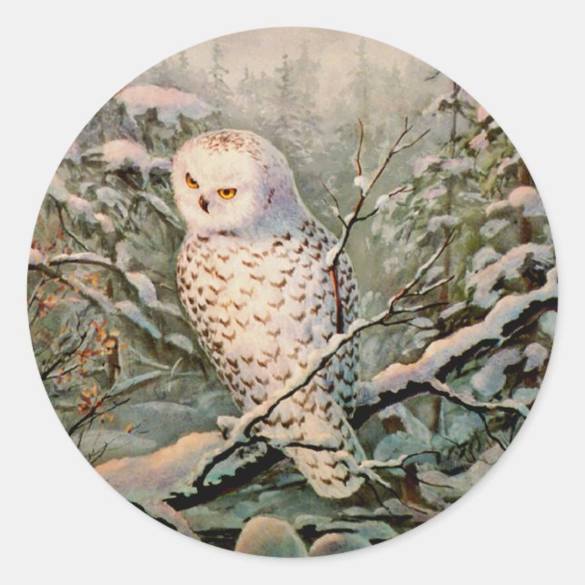 Sticker Rond SNOWY OWL par SHARON SHARPE (Devant)