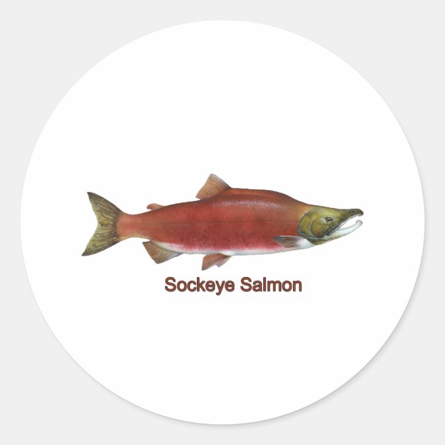 Sticker Rond Sockeye - Saumon rouge (intitulé) (Devant)