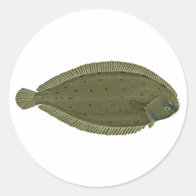 Sticker Rond Sole (Devant)