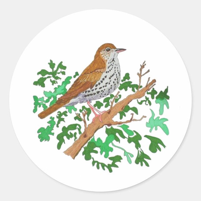 Sticker Rond Songbird, oiseau brun aux mouchettes (Devant)