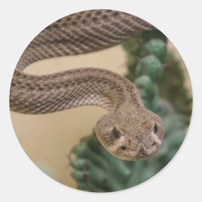 Sticker Rond sonnerie (Devant)