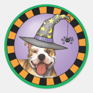 Sticker Rond Sorcière à puces