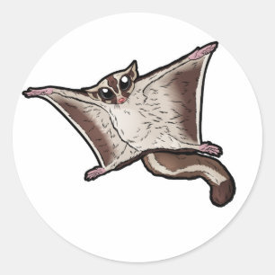 Sticker Rond Sougar Glider