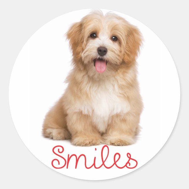 Sticker Rond Sourires Havanais Tan Chien Chien Chien Salut (Devant)