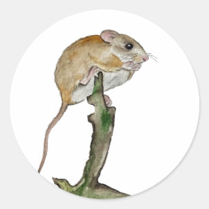 Sticker Rond Souris aquarelle réaliste dans l'arbre