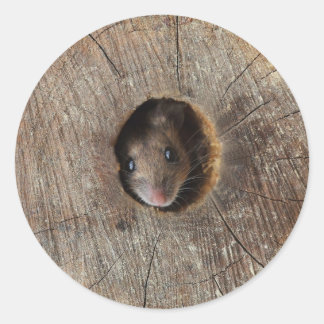 Sticker Rond Souris en bois