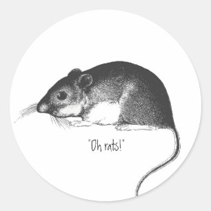 Sticker Rond souris rat vintage rétro chic