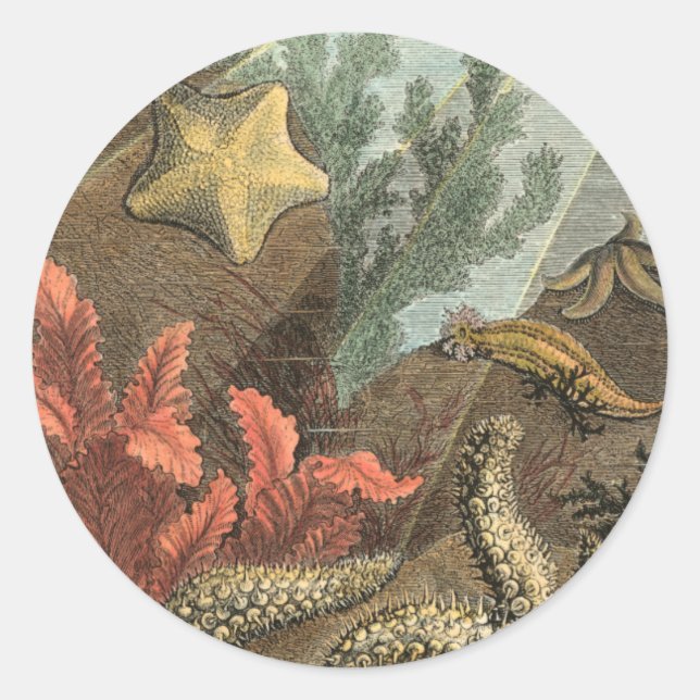 Sticker Rond Sous la mer (Devant)