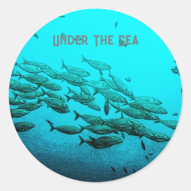 Sticker Rond Sous la Sea School of Fish Aqua Blue Marine Life (Devant)