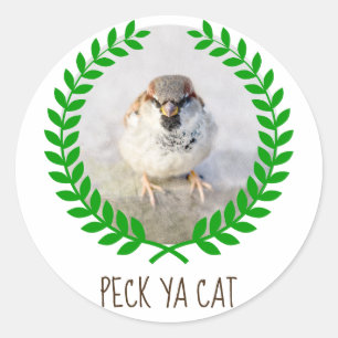 Sticker Rond Sparrow Warrior - Peck Ya Cat drôle personnalisabl