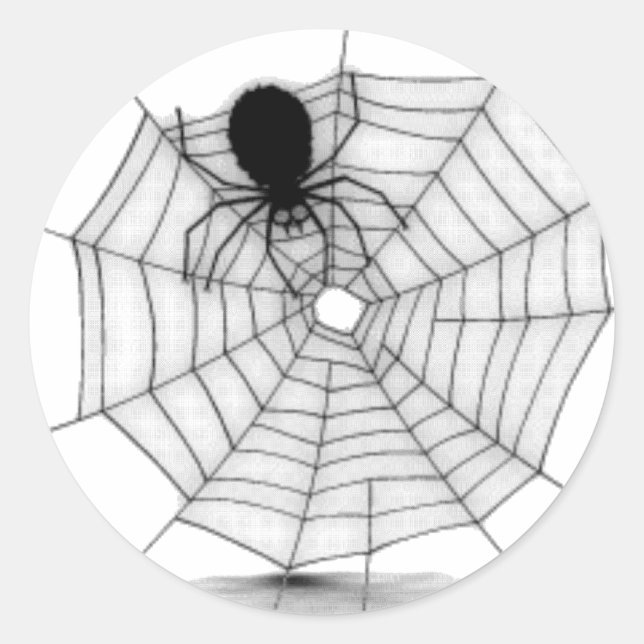 Sticker Rond Spider dans son Web (Devant)