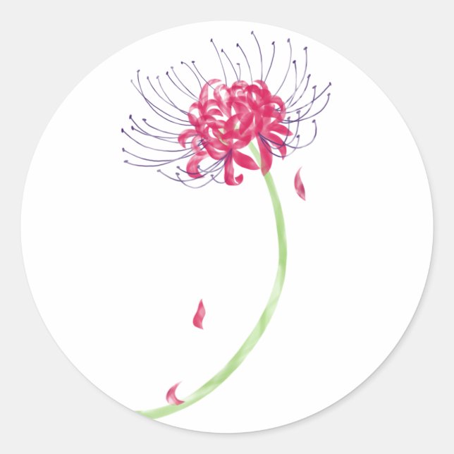 Sticker Rond Spider Lily (Devant)