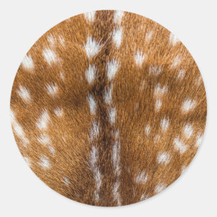 Sticker Rond Spotted deer pour texture