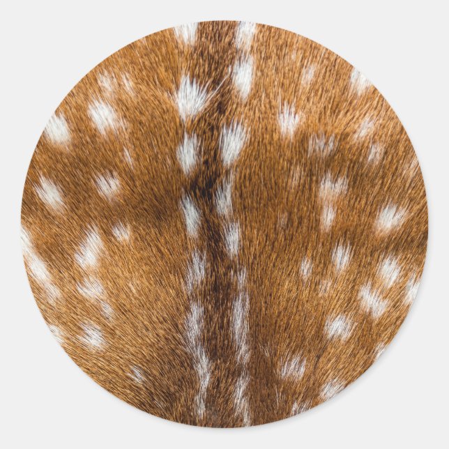 Sticker Rond Spotted deer pour texture (Devant)