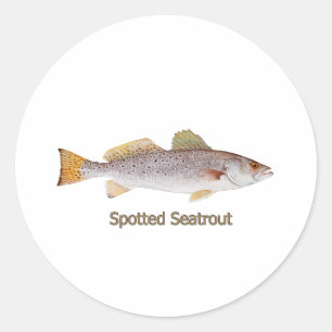 Sticker Rond Spotted Seatrout (titre)