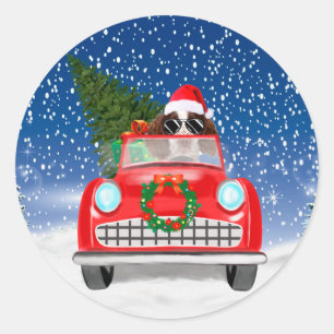 Sticker Rond Springer Anglais Spaniel Chien Voiture En Neige No