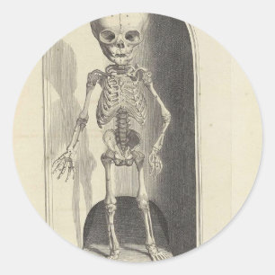 Sticker Rond Squelette enfant