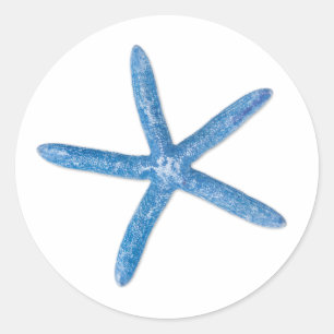 Sticker Rond Starfish bleu