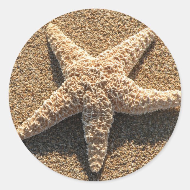 Sticker Rond Starfish sur la plage (Devant)