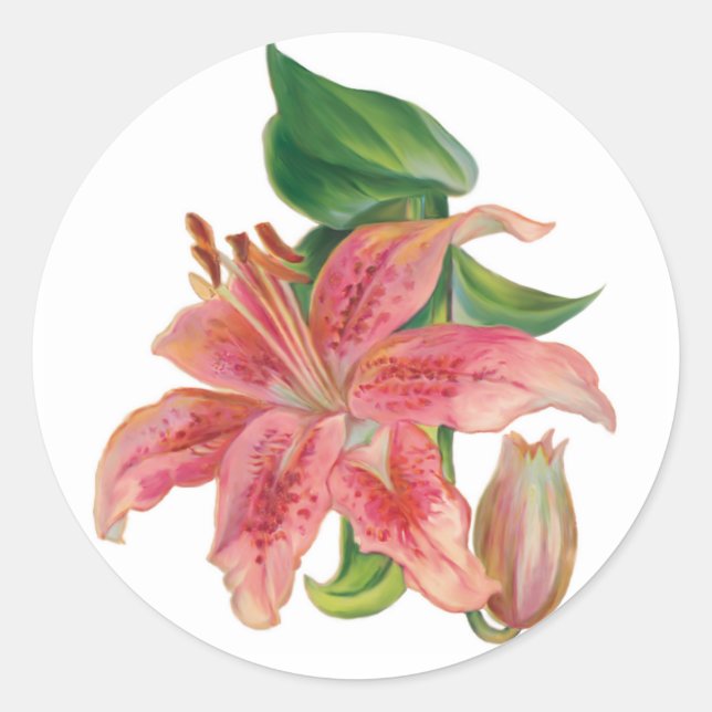 Sticker Rond Stargazer Lily (Devant)