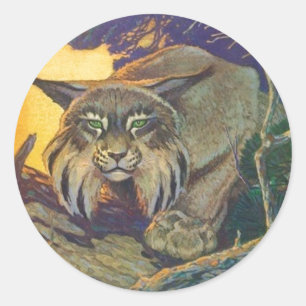 Sticker Rond Stick Wildlife Bobcat Chasse au chat Twilight Sund