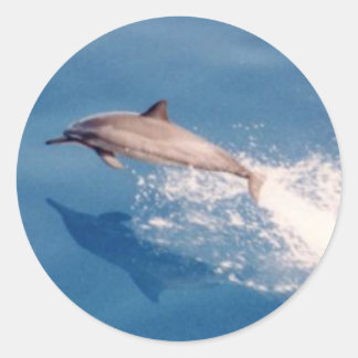 Sticker Rond Sticker-Dolphin Sumping